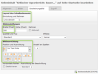Reiter Erscheinungsbild