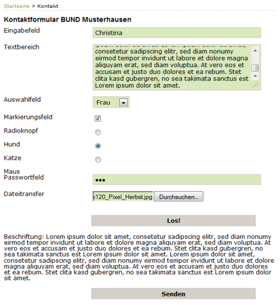 Frontend-Ansicht