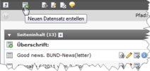 Neuen Datensatz erstellen