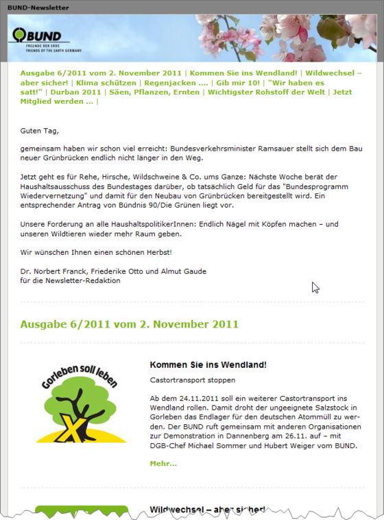 Beispiel Newsletter