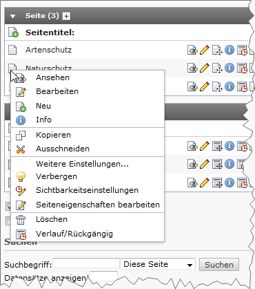 Kontextmenü in der Detailansicht