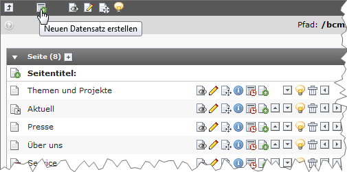 Neuen Datensatz erstellen